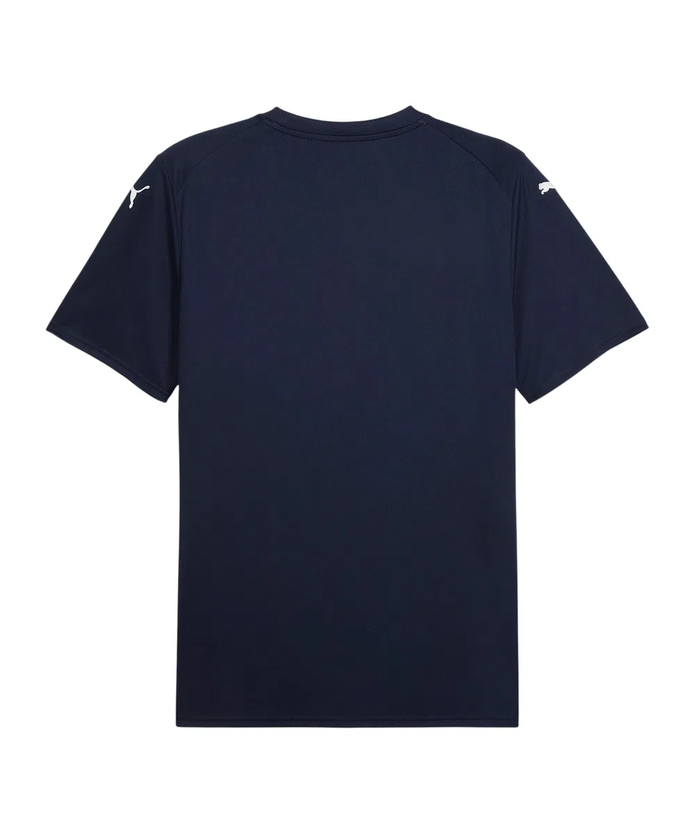 PUMA Herren Teamfinal Graphic Jersey Trikots (1er Pack)