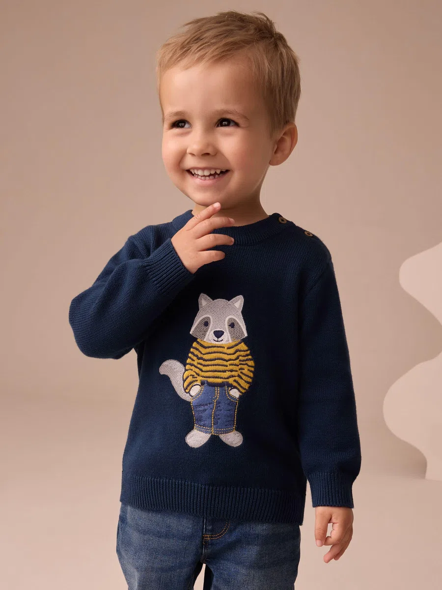 NEXT Jungen Strickpullover 62-122