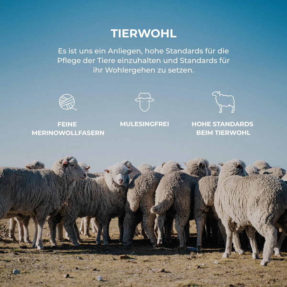 Dilling Baby Merino Wickelbody