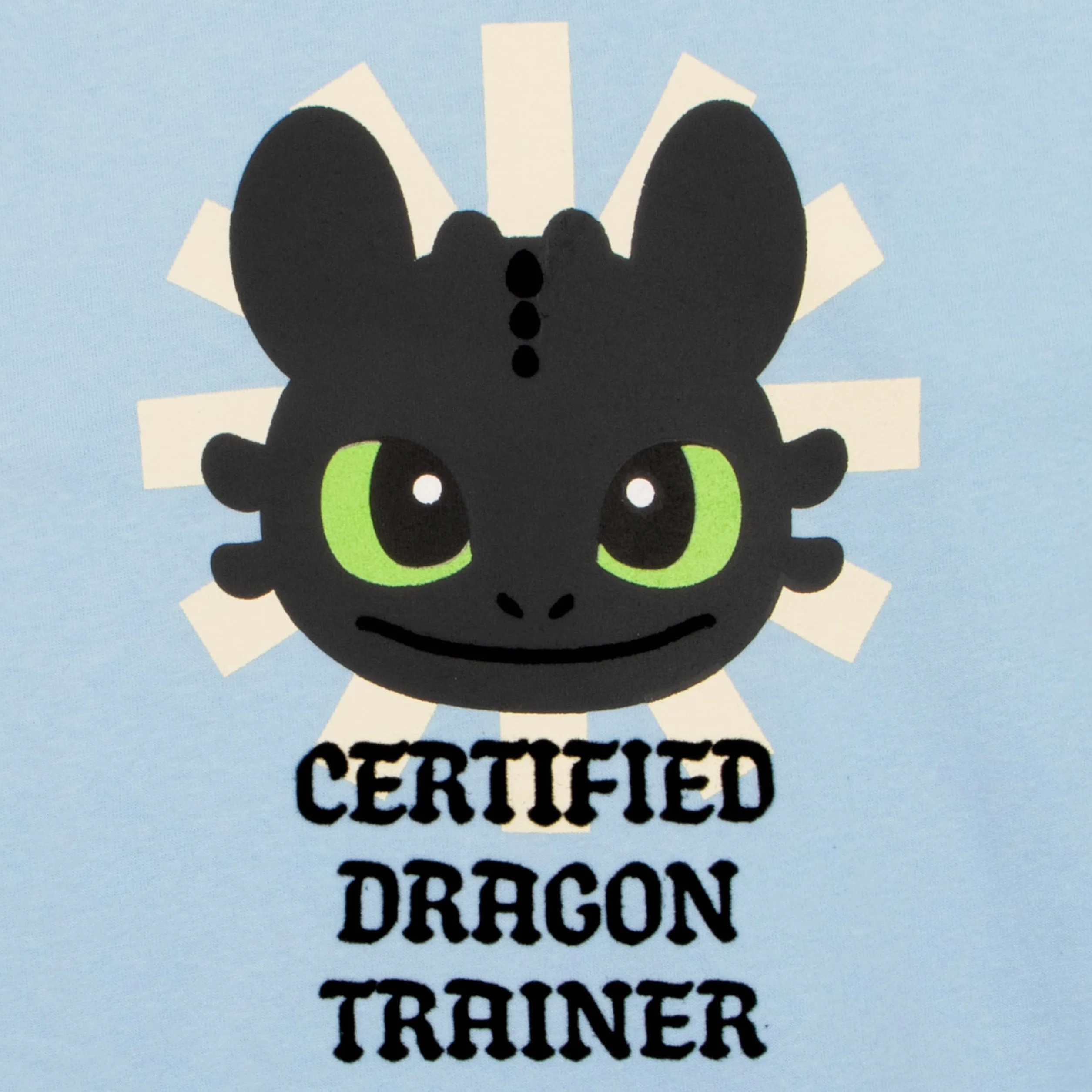 How To Train Your Dragon Pullover Mädchen, Toothless Sweatshirt Kinder Mädchen, Baumwolle Kinder Pulli