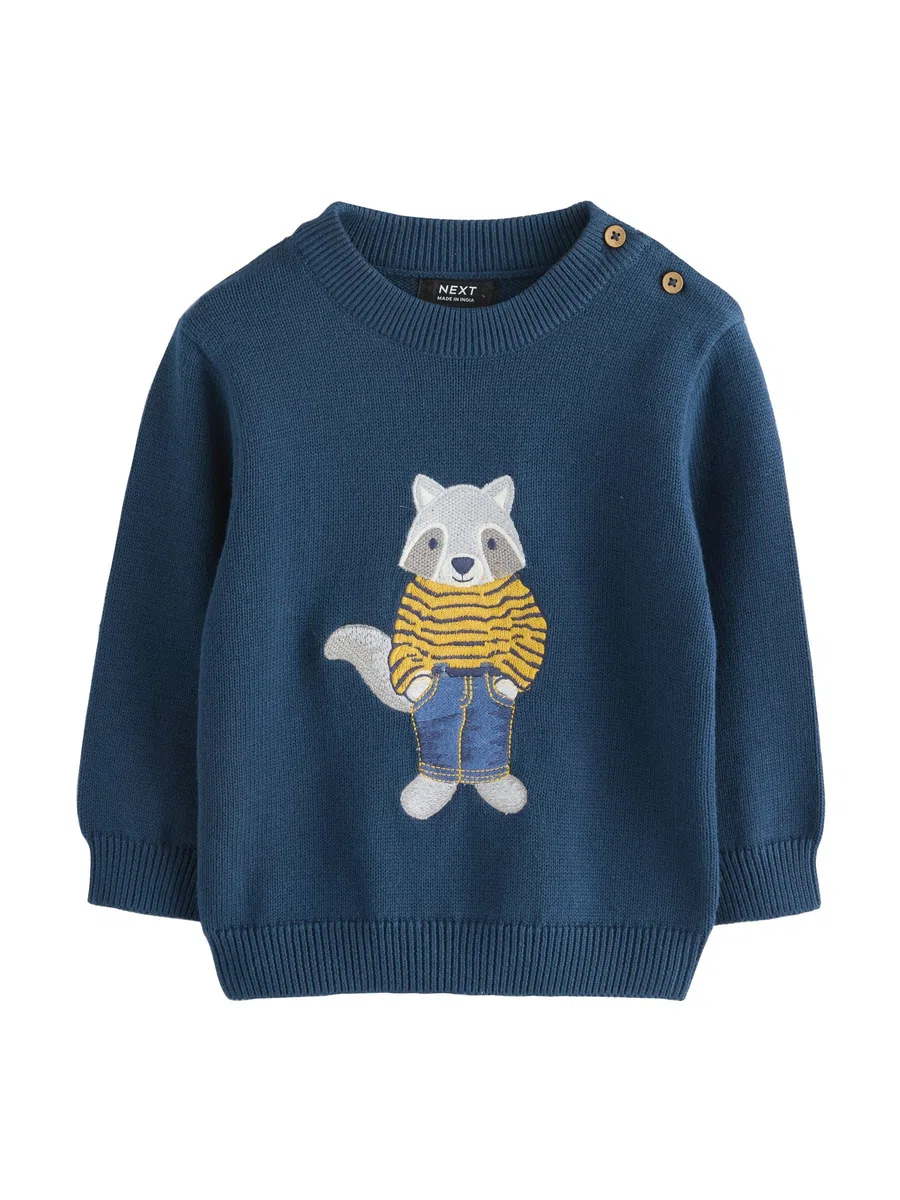 NEXT Jungen Strickpullover 62-122