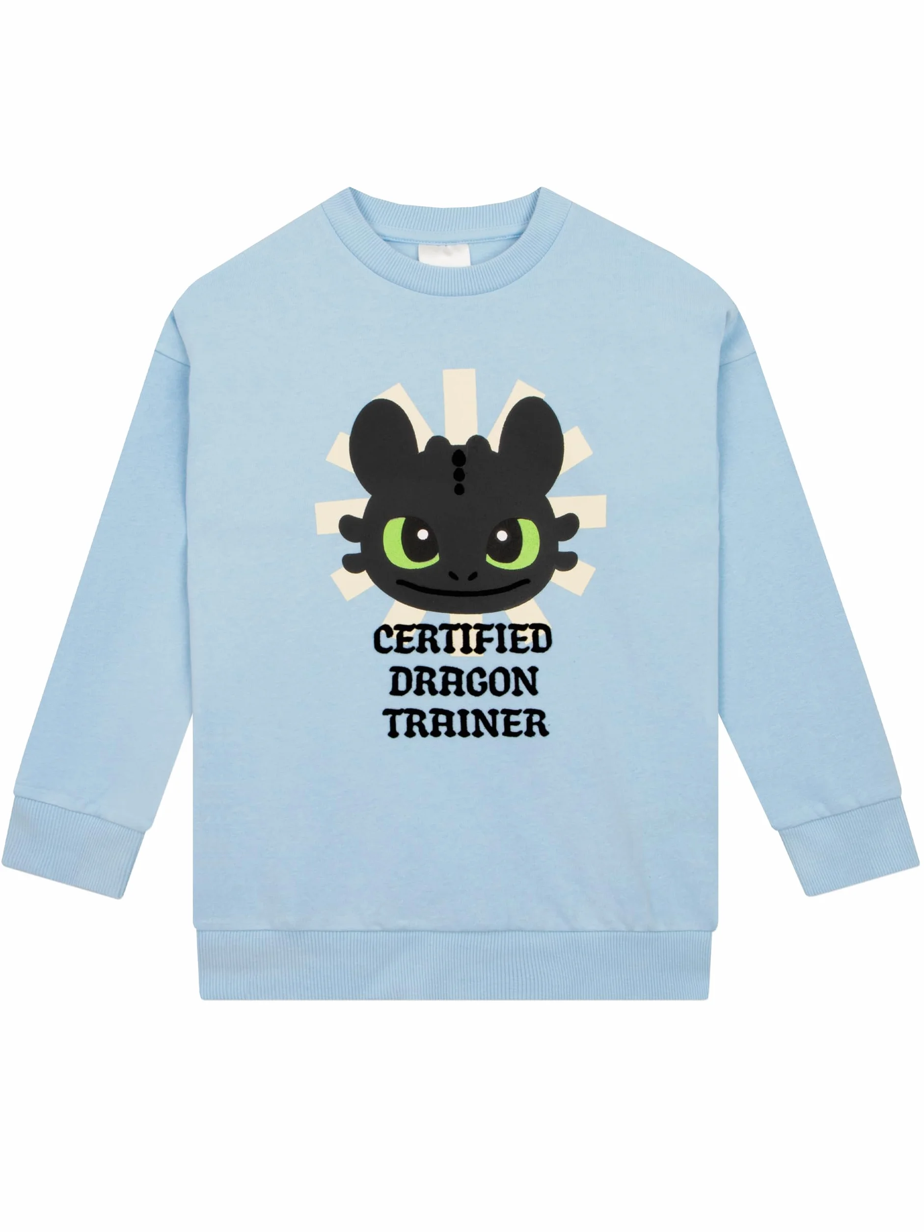 How To Train Your Dragon Pullover Mädchen, Toothless Sweatshirt Kinder Mädchen, Baumwolle Kinder Pulli