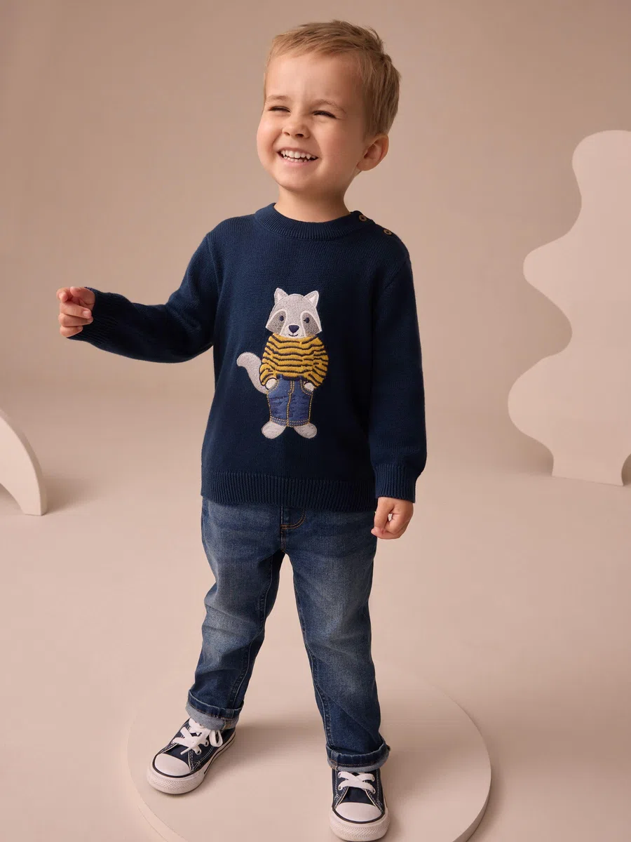 NEXT Jungen Strickpullover 62-122