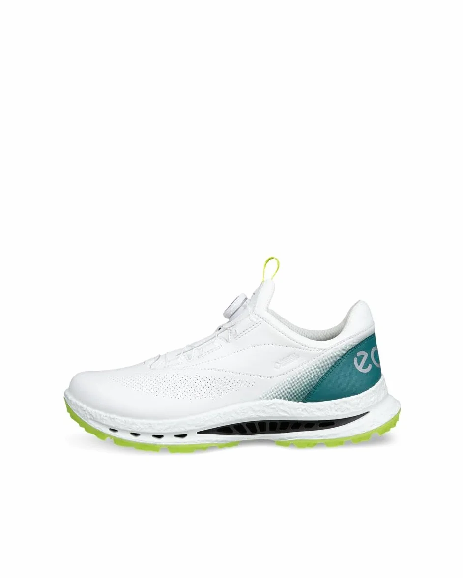 ECCO Biom C5 Boa Gore-Tex, wasserdicht für Herren