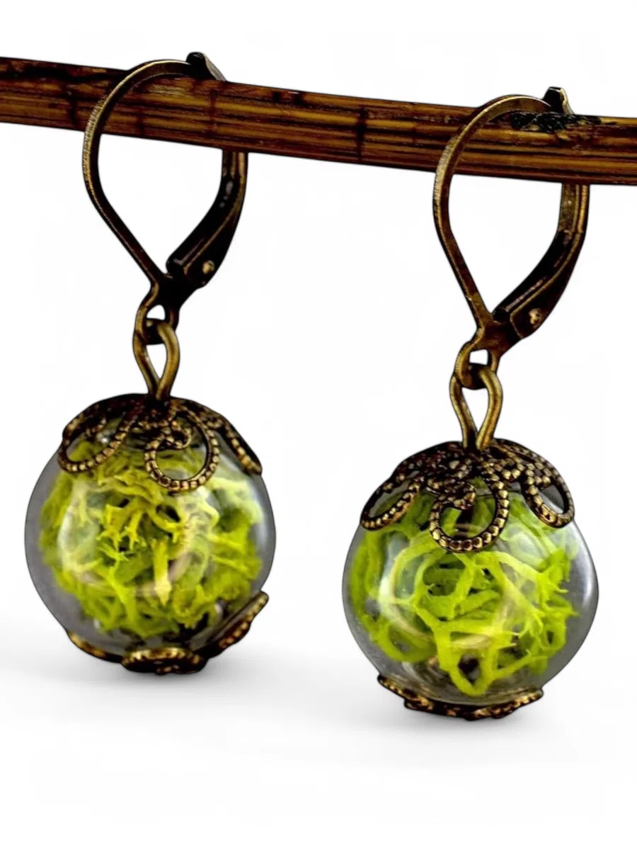 MadamLili Echtes Moos Ohrringe Set Bronze Ohrhänger Grün | Vintage Stil, Waldmoos Islandmoos, Handgefertigt, Exklusive Schmuckbox, Naturschmuck