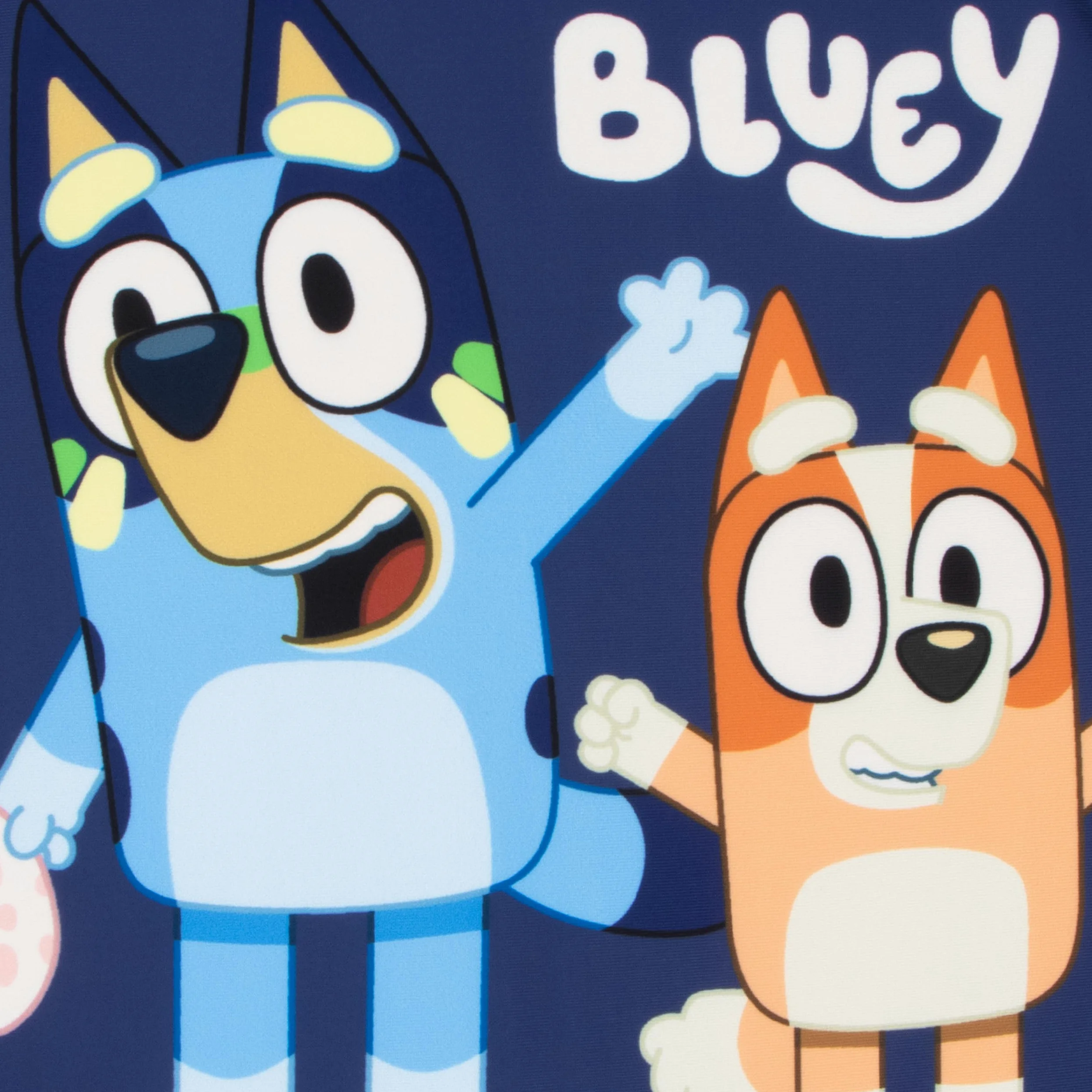 Bluey Badeanzug | Kinder Schwimmanzug | Schwimmset Kinder