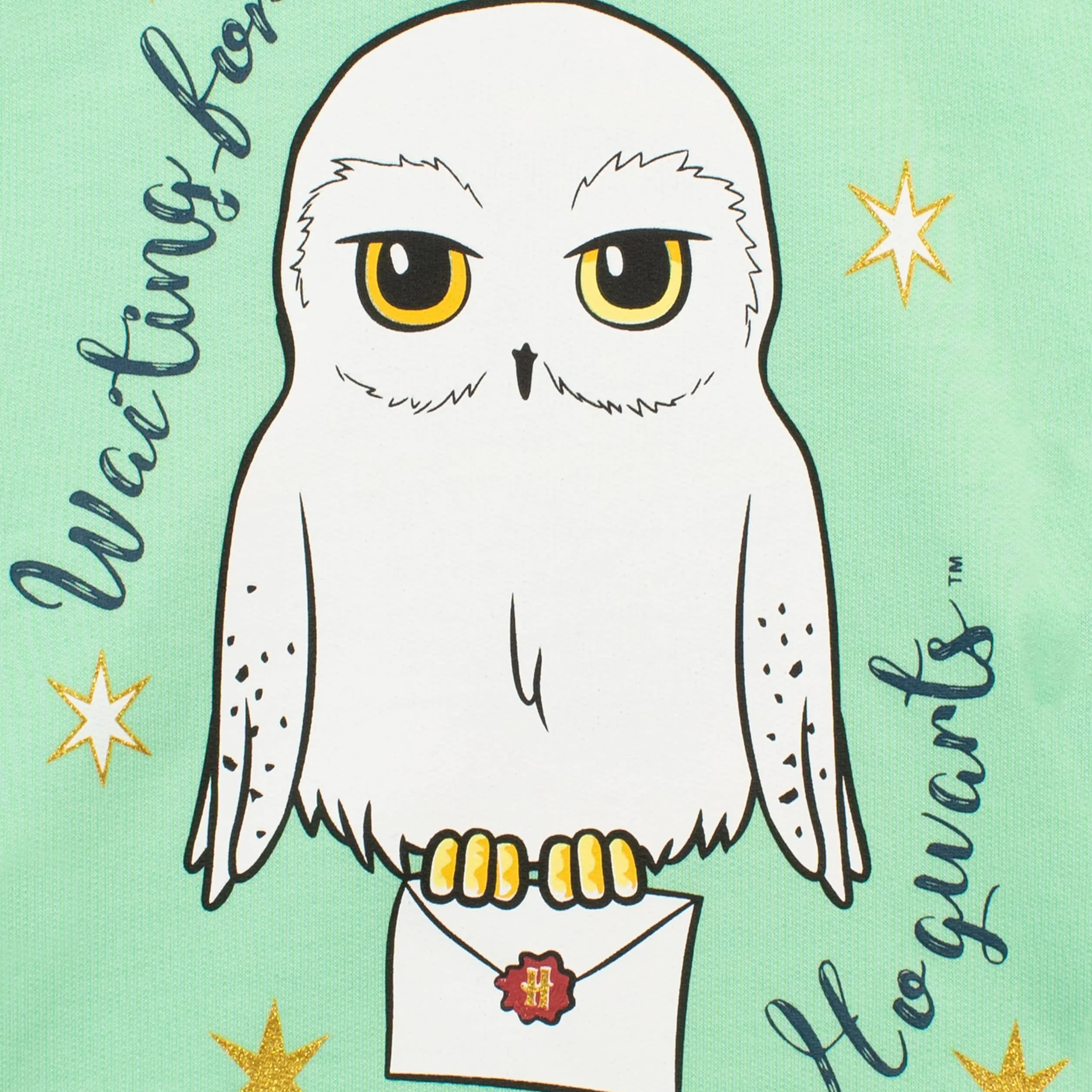 Harry Potter Pullover | Hedwig Hoodie Mädchen | 100% Baumwolle Kinder-Pullover | Hogwarts Pulli