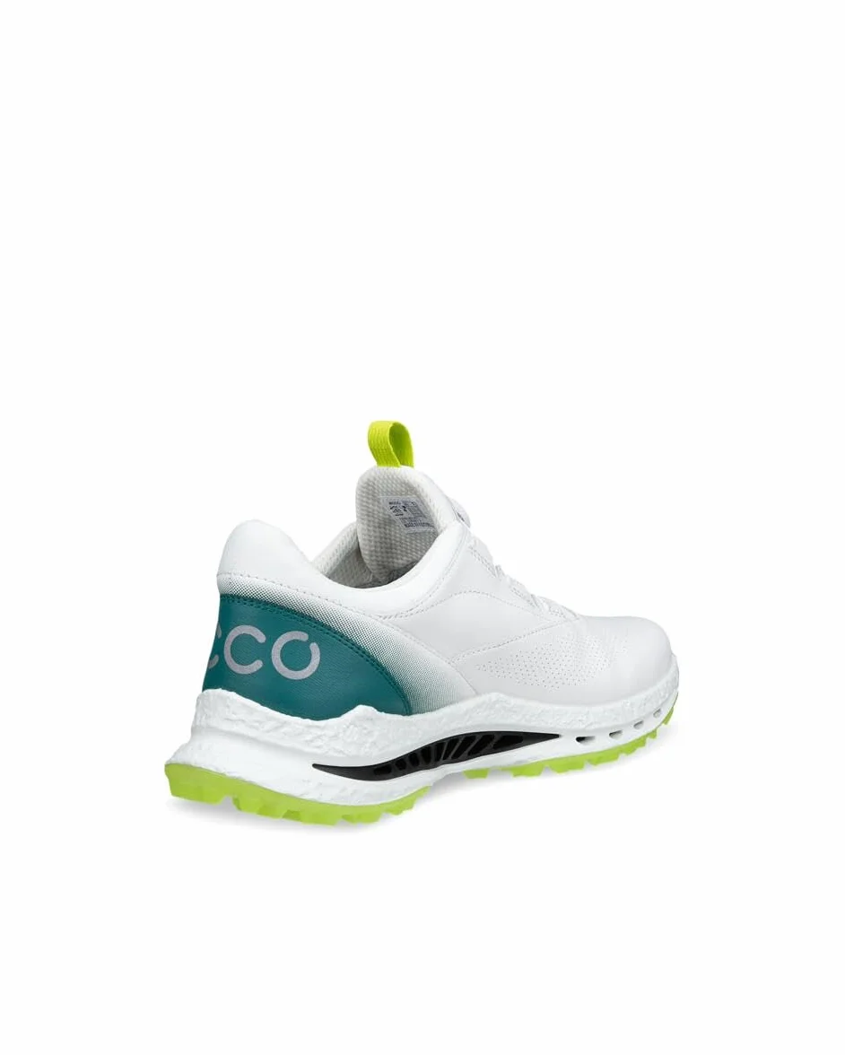 ECCO Biom C5 Boa Gore-Tex, wasserdicht für Herren